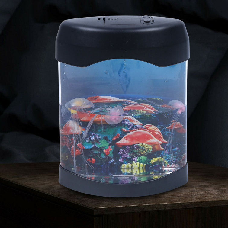 Night light fish outlet tank